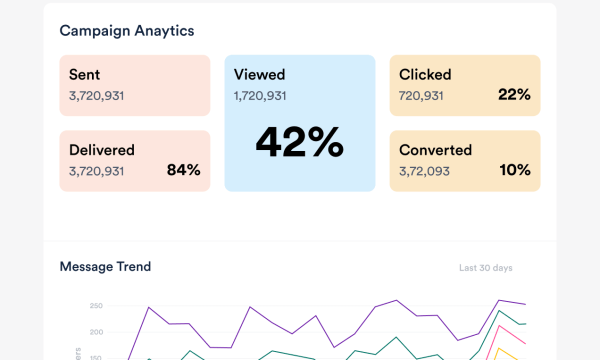 Business dashboard showing SMS campaigns and delivery reports.